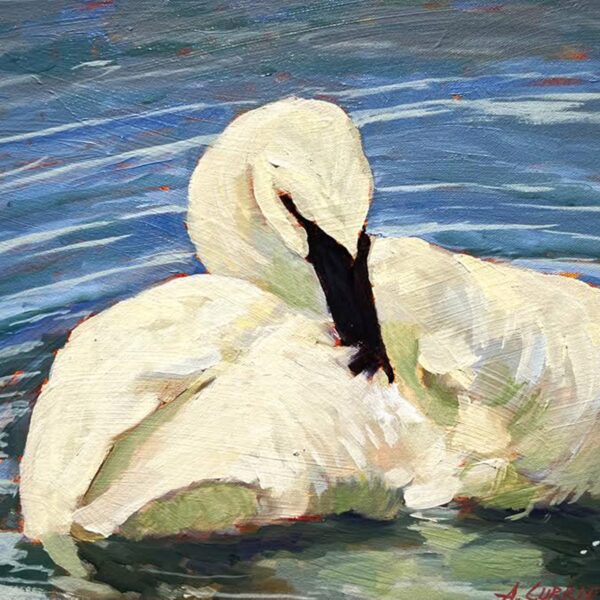 AC Preening — JG Art Gallery