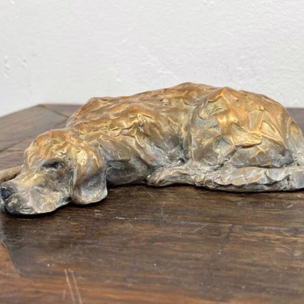 Bd Snoozing Golden — JG Art Gallery