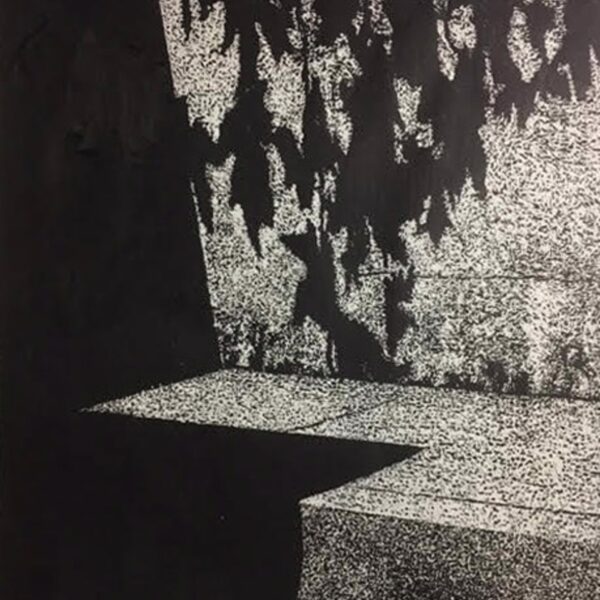 Gg Shadows And Leaves — JG Art Gallery