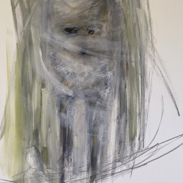 Tg Glimpse Coyote2 — JG Art Gallery