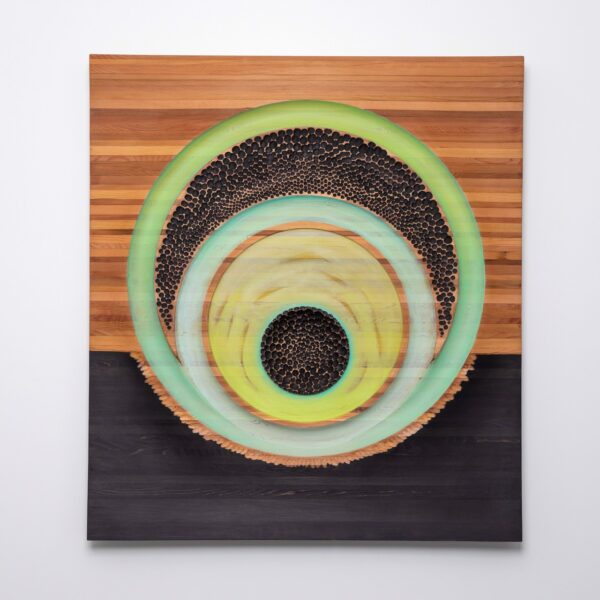 Cancellation Myth by Andy McConnell — Mixed Media - Wood, Paint, and Found Objects — JG Art Gallery