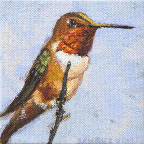 As Rufous Hummingbird — JG Art Gallery