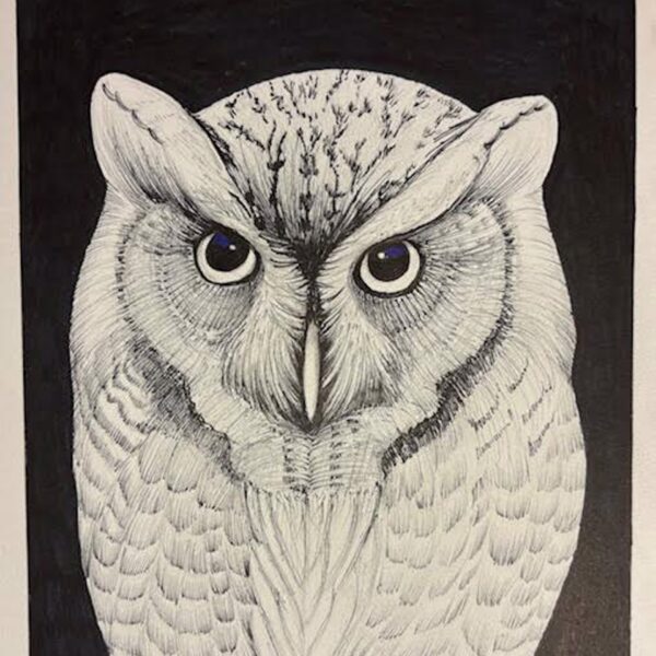 Fm Owl — JG Art Gallery