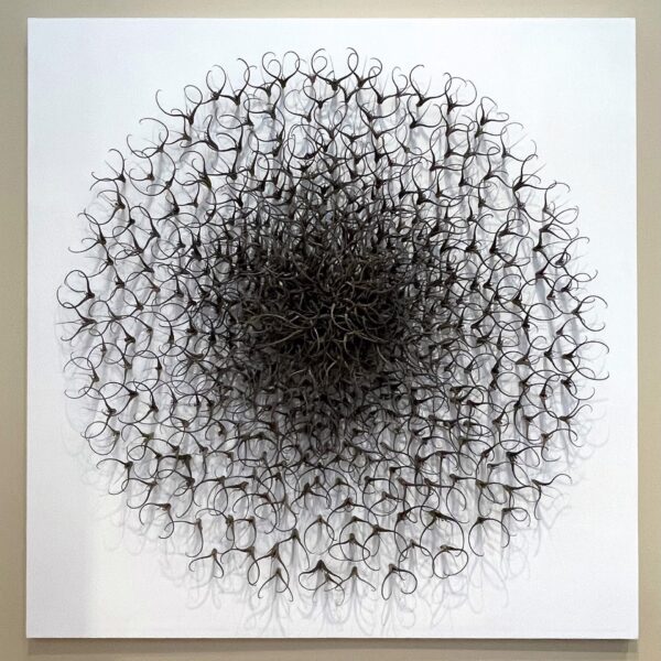 The Devil’s Sun by Julie Anne Mann — Ink on Paper — JG Art Gallery
