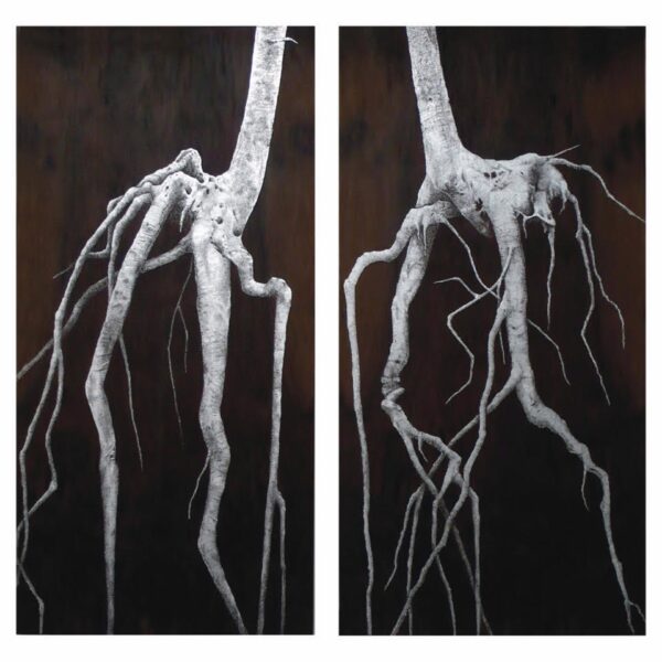 The Twins (2 Pieces) by Julie Anne Mann — Graphite Drawing — JG Art Gallery
