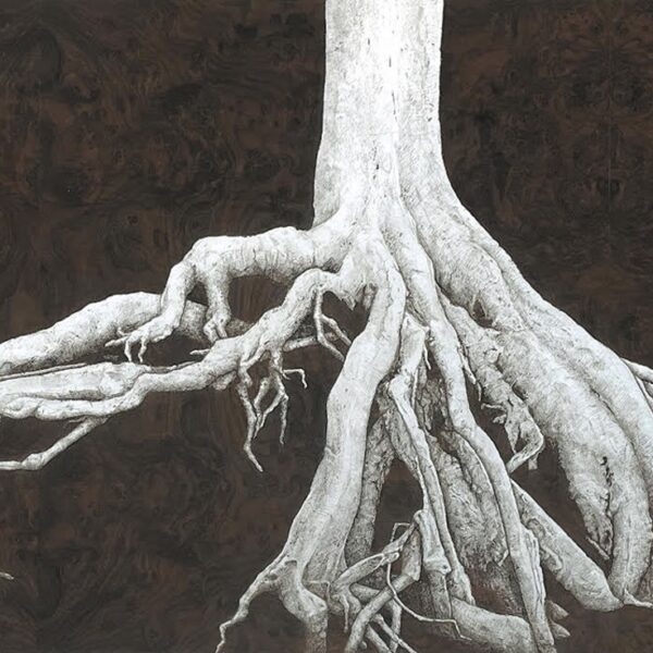 Traveler by Julie Anne Mann — Pencil Drawing on Paper — JG Art Gallery