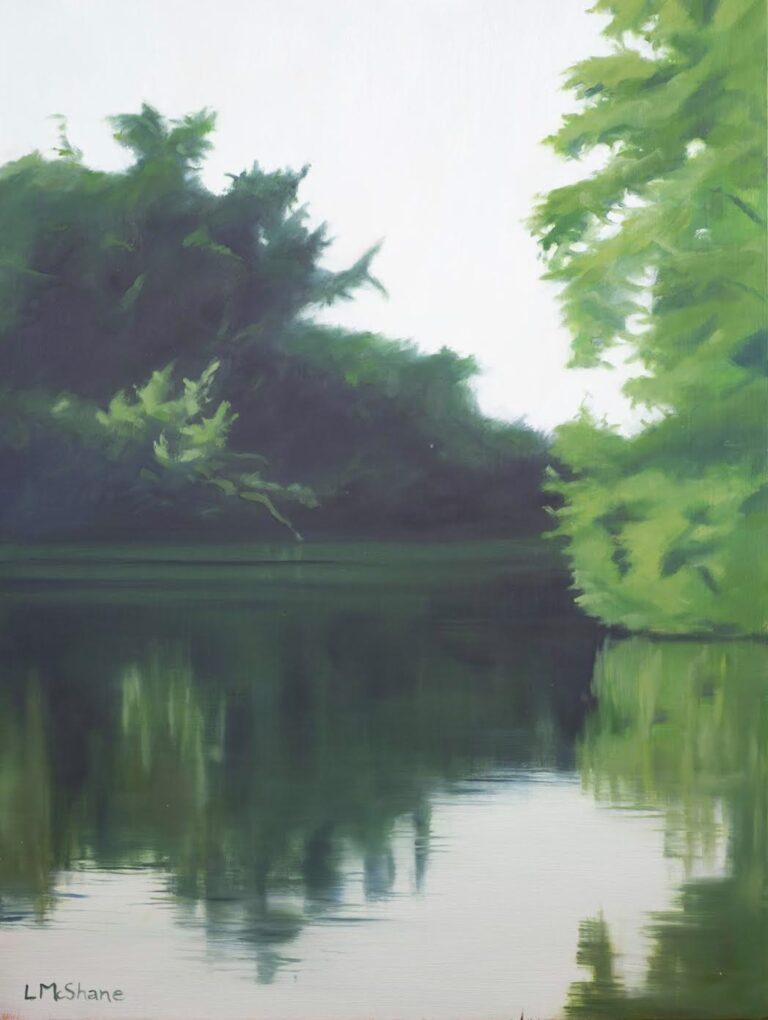 Flooded River by Lisa Mcshane
