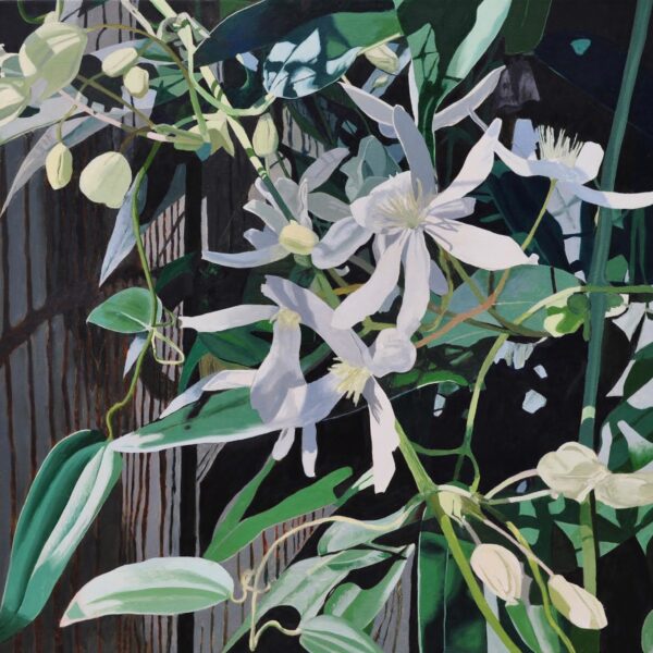Bigger Blooms by Neal Phillpott — Oil on Canvas — JG Art Gallery