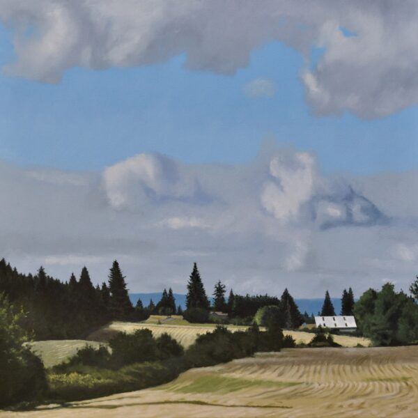 Deep Country by Neal Phillpott — Oil on Canvas — JG Art Gallery
