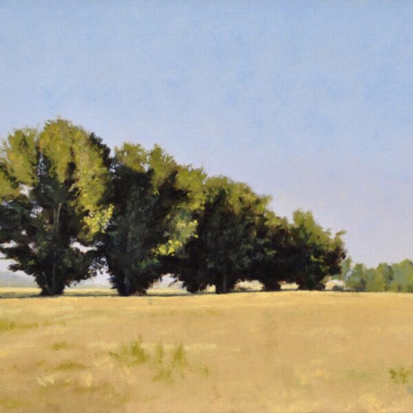 Np Drive Sentinels — JG Art Gallery