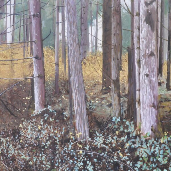 Forested by Neal Phillpott — Oil on Canvas — JG Art Gallery