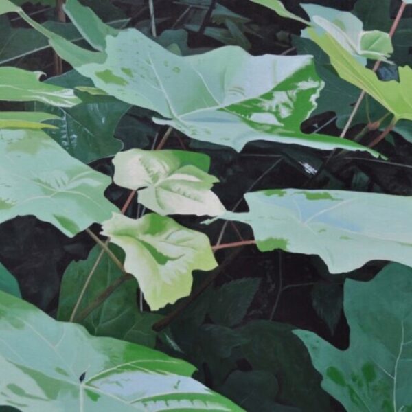 Newly Green by Neal Phillpott — Photography — JG Art Gallery