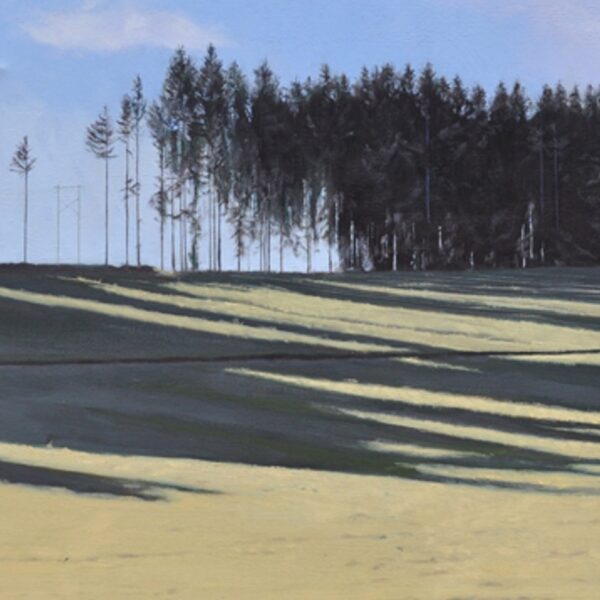 Nealphilpott Shadowtwin Oil 20x40 — JG Art Gallery