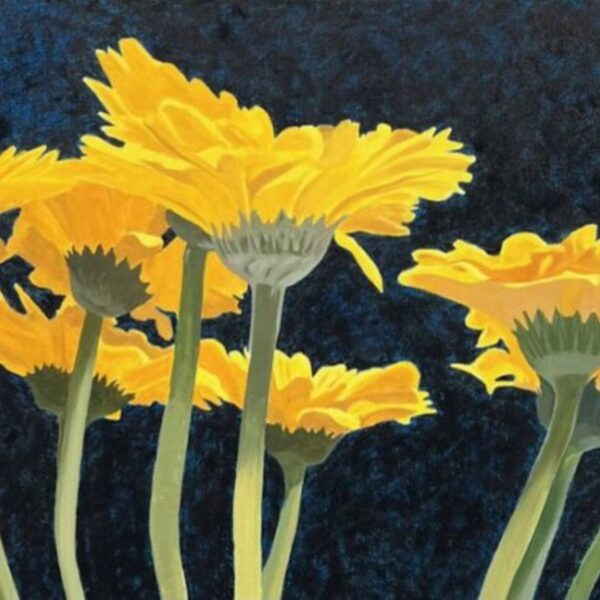 Np Resilience — JG Art Gallery