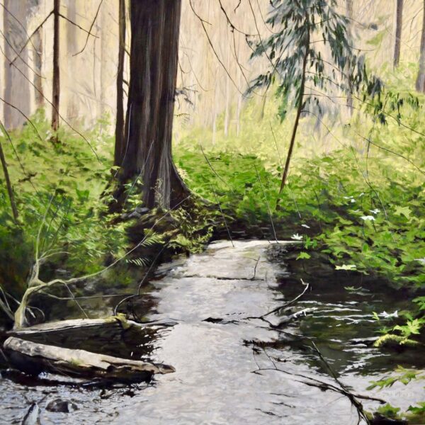 River Solace by Neal Phillpott — Oil on Canvas — JG Art Gallery