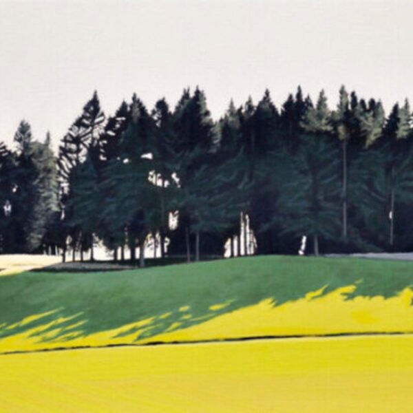 Np Splayed Shadow — JG Art Gallery
