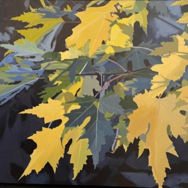 Turning Into Gold by Neal Phillpott — Oil on Canvas — JG Art Gallery