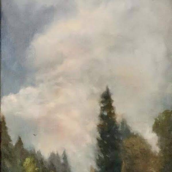 Pw Blue Skies Ahead (bloedel Reserve) — JG Art Gallery