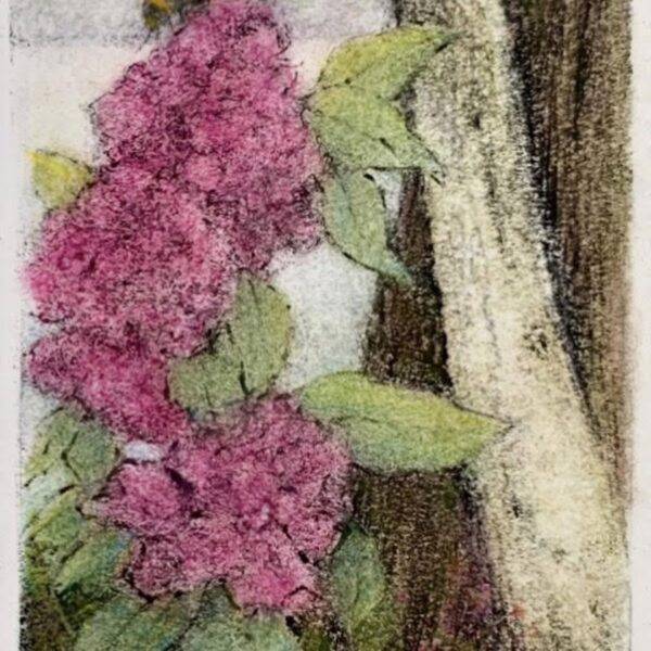Pw Citizens Of Sweetness — JG Art Gallery