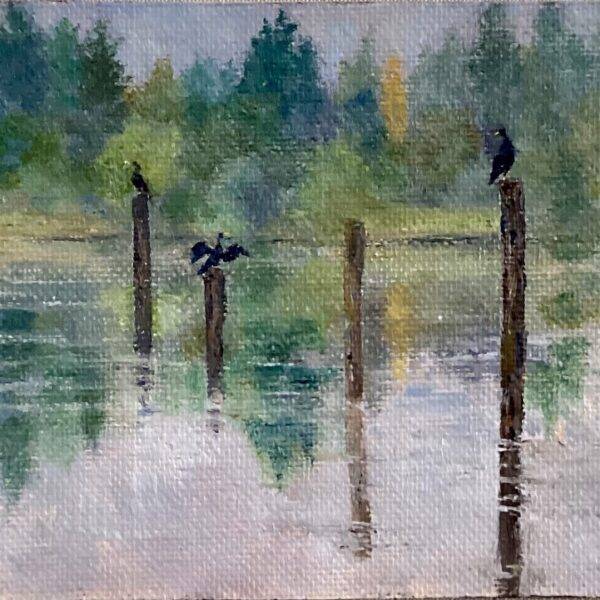 Pw Perched On Eagle Harbor — JG Art Gallery