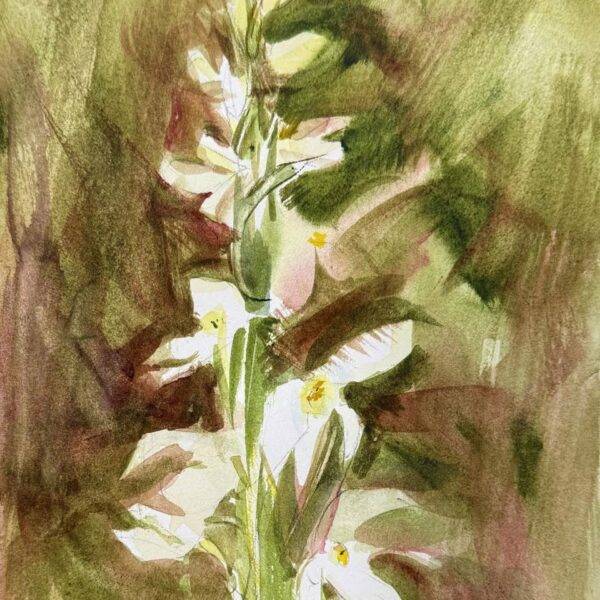 Bog Orchid — JG Art Gallery