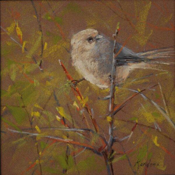 Rw Bushtit, 2023 — JG Art Gallery