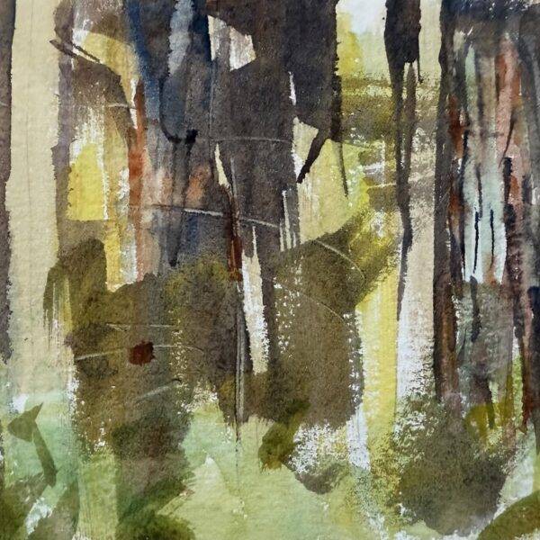Grand Fir Trunks In Spring — JG Art Gallery
