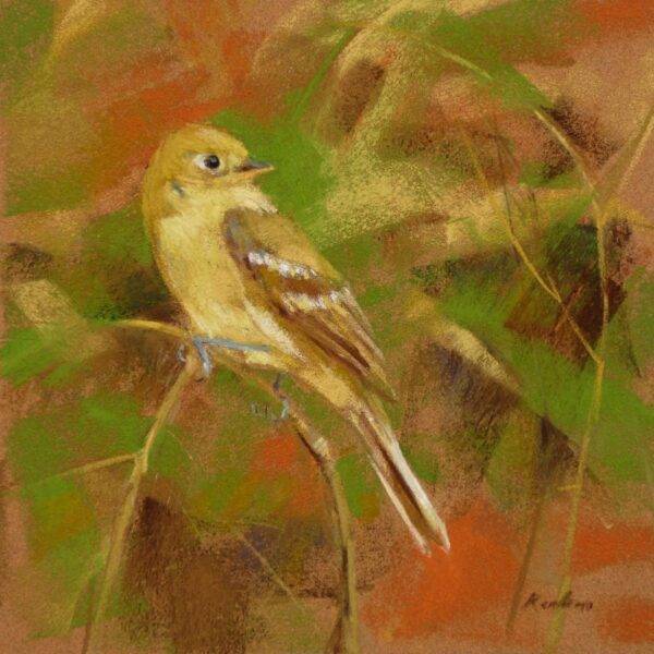 Rw Pacific Slope Flycatcher, 2023 — JG Art Gallery