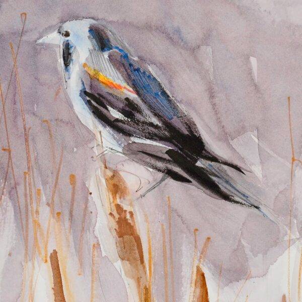 Rw Red Winged Blackbird — JG Art Gallery