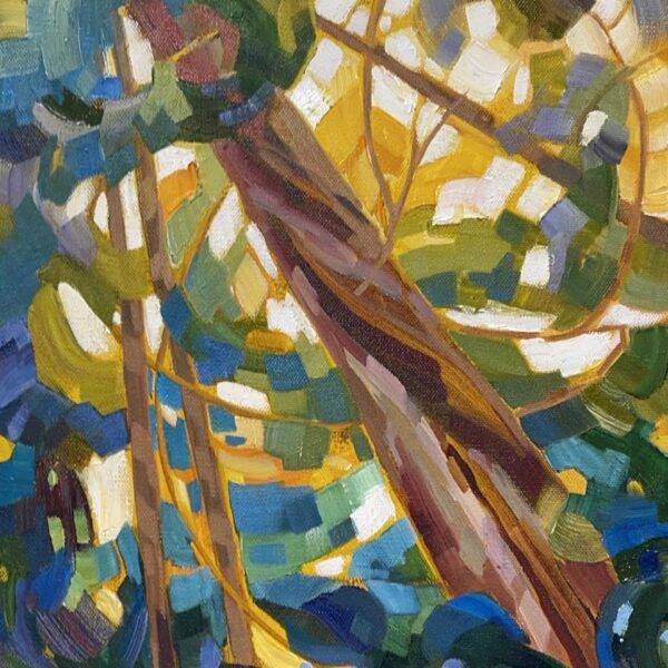 Ts Forest Canopy — JG Art Gallery