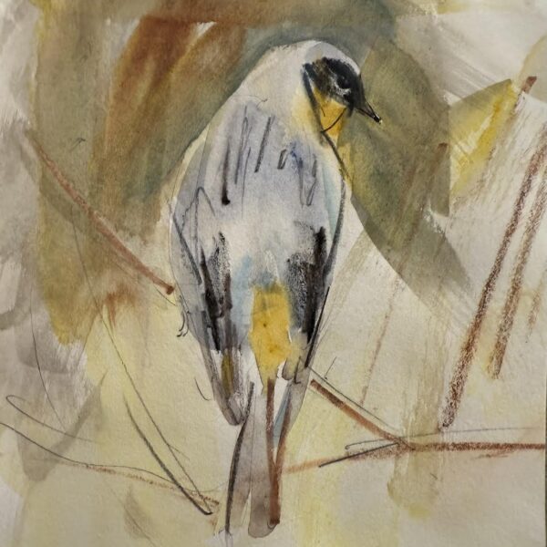 Yellow-Rumped Warbler by Randena Walsh — Watercolor and Ink on Paper — JG Art Gallery