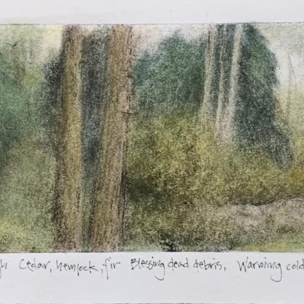 Forest Garden by Pamela Wachtler — Watercolor on Paper — JG Art Gallery